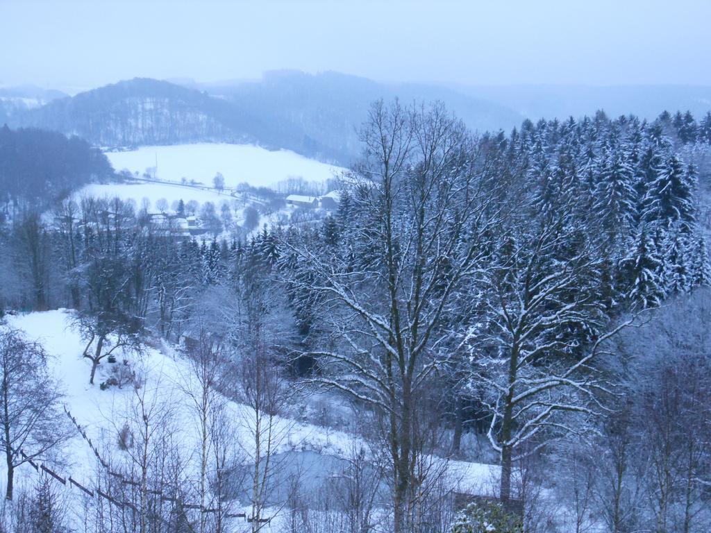 Gite Le Gros Chene Bouillon Zimmer foto